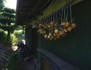 農業